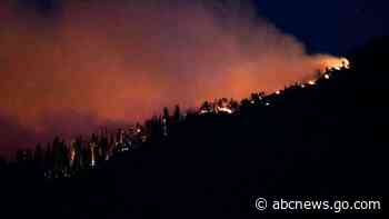 Growing wildfire poses latest threat to historic sequoia trees