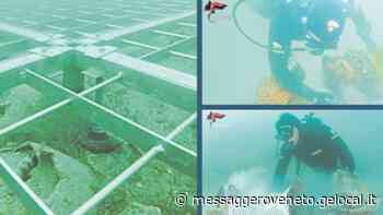 In fondo alla laguna: viaggio alla scoperta di Grado 2, il relitto romano del III secolo a.C | I video esclusivi - Il Messaggero Veneto