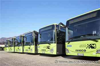 La Commissione Tributaria di II grado ha accolto il ricorso in riassunzione di SAD e della Provincia - La Voce di Bolzano