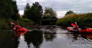 VAKANTIETIPS VOOR DE THUISBLIJVERS. Op beversafari in Leuven: “Wanneer je frangipanekes ruikt, weet je dat de bever in de buurt is” - Het Laatste Nieuws