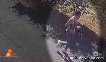 Quarto Grado, mostrate nuove immagini scioccanti di Martina Patti che si reca al campo - Yahoo Finanza