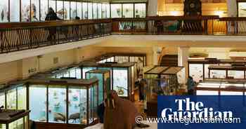 The Art Fund’s Museum Of The Year Completely Reconfigured Itself During The Pandemic