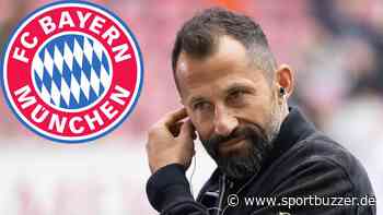 De Ligt, Lewandowski, Transfer-Überraschungen: Salihamidzic über die Personal-Pläne des FC Bayern - Sportbuzzer