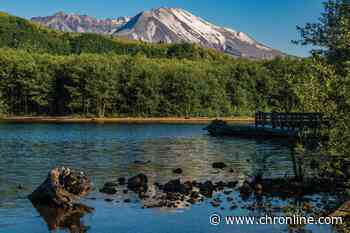 In Focus: Coldwater Lake an Outdoor Oasis at Mount St. Helens - Centralia Chronicle