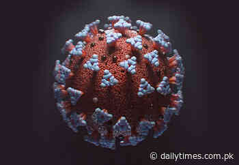 Coronavirus kills 10 more in Pakistan - Daily Times