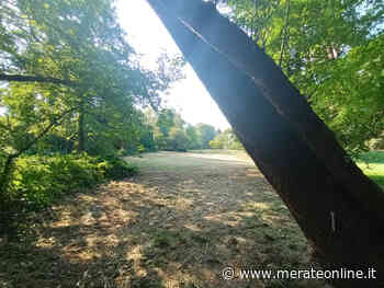 Merate: l'area attorno a san Rocco ritorna a respirare. Preoccupa il livello dei ''laghi'' - Merate Online
