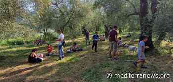 Ad Andora una passeggiata nella Città dell' Olio | Mediterranews - Mediterranews