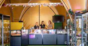 Handelaars uit Boom pikken graantje mee op Tomorrowland - Het Laatste Nieuws