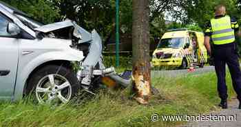 Slapende automobilist rijdt boom uit de grond in Rijen - BN DeStem