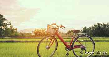 Toerisme Rupelstreek start met ticketverkoop voor Smikkeltocht | Boom | hln.be - Het Laatste Nieuws