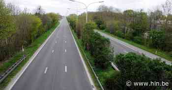 Boom op de rijbaan A12 ter hoogte van Londerzeel - Het Laatste Nieuws