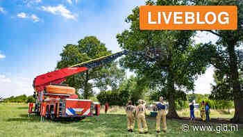 112-nieuws: brandweer redt Amerikaan uit boom • zwaargewonde bij steekpartij - Omroep Gelderland