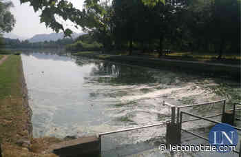 Merate, lago di Sartirana: "Con il wash out l'80% di fosforo in meno in 15 anni" - Lecco Notizie - Lecco Notizie