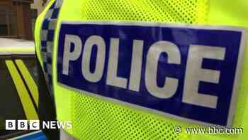Grimsby: Two arrested after couple try to snatch girl from garden - BBC