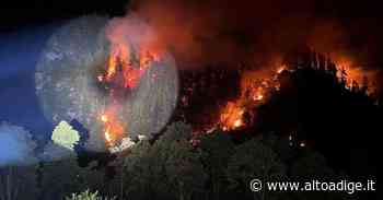 Rogo a Prato allo Stelvio, il fuoco si mangia il bosco - Alto Adige