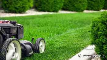 Prato giardino: cosa non fare assolutamente nel mese di luglio - Ecoo