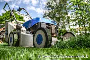 Erba del prato tagliata: si può riciclare? - Informazione Ambiente