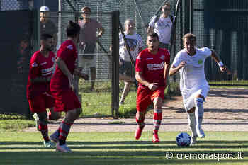 Cremonese, ipotesi Ferrara o Cittadella per la Coppa Italia - CremonaSport
