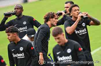 Eintracht Frankfurt vor dem Bundesliga-Start: Die Königsklasse wartet - Sportvereine in der Region - Mannheimer Morgen