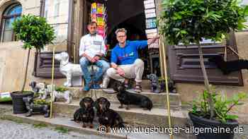 Passau: Zoff um Passauer Dackelmuseum: Sie dackeln davon | Augsburger Allgemeine - Augsburger Allgemeine