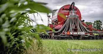Boeren in de mist over mestbeleid uit Brussel - Telegraaf.nl