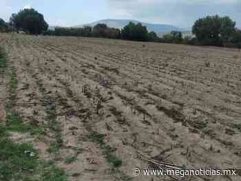 Preocupa sequía a pobladores del municipio de Acajete | MEGANOTICIAS - meganoticias