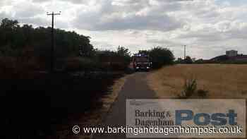 Dagenham fire: Five hectares of land scorched - Barking and Dagenham Post