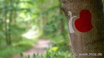 Essen in Schwedt: Picknick im Tal der Liebe und Kaffee bei Beata am Nationalpark Unteres Odertal - Märkische Onlinezeitung