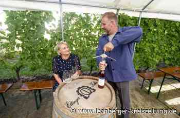 Weinanbau in Leonberg - Neuer Besen mit großem Angebot - Leonberger Kreiszeitung