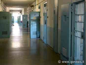 Violenza sessuale a Gallipoli, tra gli arrestati un ventenne di Vinci - gonews