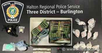 Drugs, money, ammunition and more seized in Burlington bust - miltonnow.ca