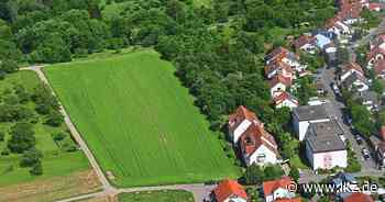 Gemeinderat macht einen Rückzieher: Doch kein Baugebiet in Geisingen - Ludwigsburger Kreiszeitung