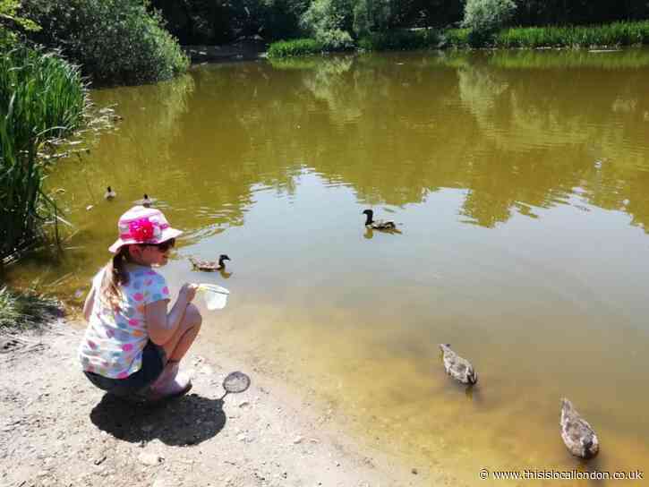 How Lost Pond of Epping Forest in Blackweir Hill was created