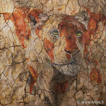 Pianeta Terra di Carla Chiusano a Capri - Agenzia ANSA