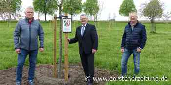 Raesfeld bekommt erneut Fördermittel für den Klimaschutz - Dorstener Zeitung