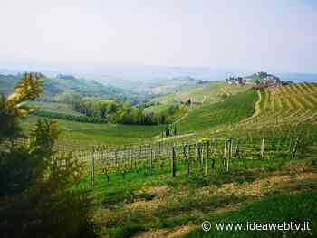 Alba: arrivano i Trekking Brevi dei Pellegrini - IdeaWebTv