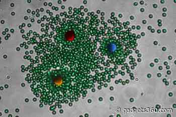 Life-Like Self-Organising Laser Can Mimics Living Materials, Reconfigures in Changing Conditions