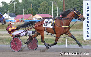 Top mare beats male rivals at Cumberland - Harnesslink