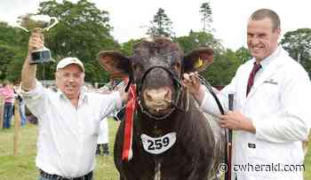 Penrith Show - celebrating farming and country life for 50 years - The Cumberland & Westmorland Herald