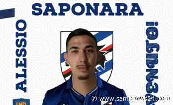 Sampdoria Futsal, ufficiale il sesto acquisto: preso Saponara - Samp News 24