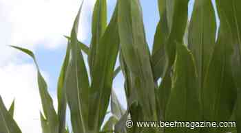 This Week in Agribusiness, July 16, 2022