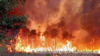 Brände in Südeuropa wüten weiter, Hitzewelle erreicht Deutschland