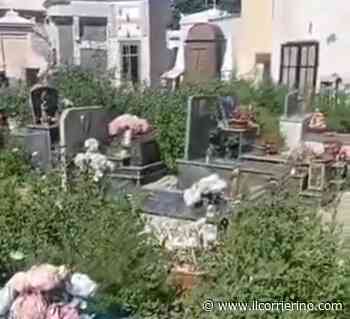 Castellammare, scempio cimitero: tombe sommerse da erba e rifiuti - Il consigliere regionale Borrelli scrive ai commissari prefettizi - IlCorrierino.com