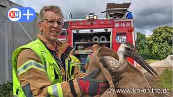 Oeringer Feuerwehr befreit entkräfteten Storch aus Güllebehälter