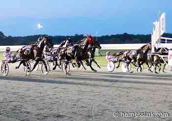 Maryland two-year-olds flock to Ocean Downs - Harnesslink