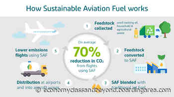 Aer Lingus to add Sustainable Aviation Fuel capacity from Gevo - Economy Class & Beyond - Kevin Marshall
