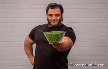 All UK Aviation Emissions Could Be Offset with Pea Protein Swap Just 2X a Week - vegconomist - the vegan business magazine - vegconomist - the vegan business magazine