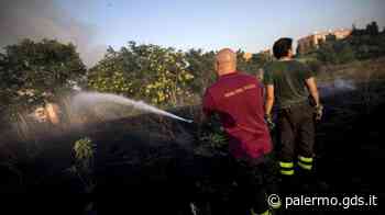 Appicca il fuoco alle sterpaglie e fugge, paura in via Messina Marine a Palermo - Giornale di Sicilia
