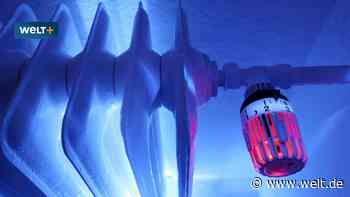 Heizlüfter, Wärmestrahler, Infrarot-Panel? Das ist die beste Heiz-Alternative