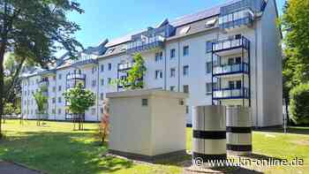 Grüne Quartiere: Wie die Stegerwaldsiedlung in Köln klimaneutral wurde